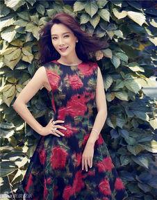 陈数最新爆料新闻事件,揭秘娱乐圈不为人知的幕后真相